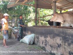Jelang Idul Adha, Babinsa Koramil 08/Bangun Edukasi Warga Tentang Perawatan Hewan Kurban Lewat Komsos