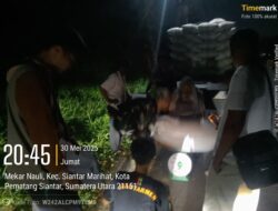 Koramil 03/Siantar Selatan Dampingi Penyerapan GabaBabinsah Petani di Siantar Marihat