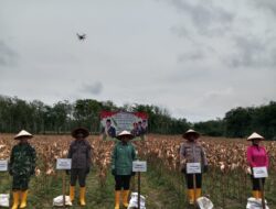 Perwira Penghubung Kodim Simalungun Hadiri Panen Raya Jagung Bersama Forkopimda, Presiden RI Pantau Secara Virtual