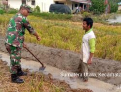 Babinsa Koramil 08/Bangun Aktif Dukung Petani, Koptu Suwandi Bantu Kelompok Tani Persiapkan Lahan Tanam Padi