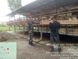 Babinsa Koramil 03/Siantar Selatan Jalin Komunikasi Sosial dengan Peternak Kambing di Kampung Kruis