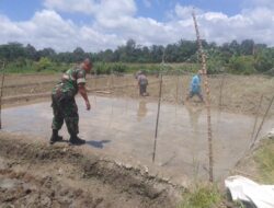 Babinsa Koramil 09/Tiga Balata Bantu Petani Lindungi Bibit Padi dari Serangan Burung